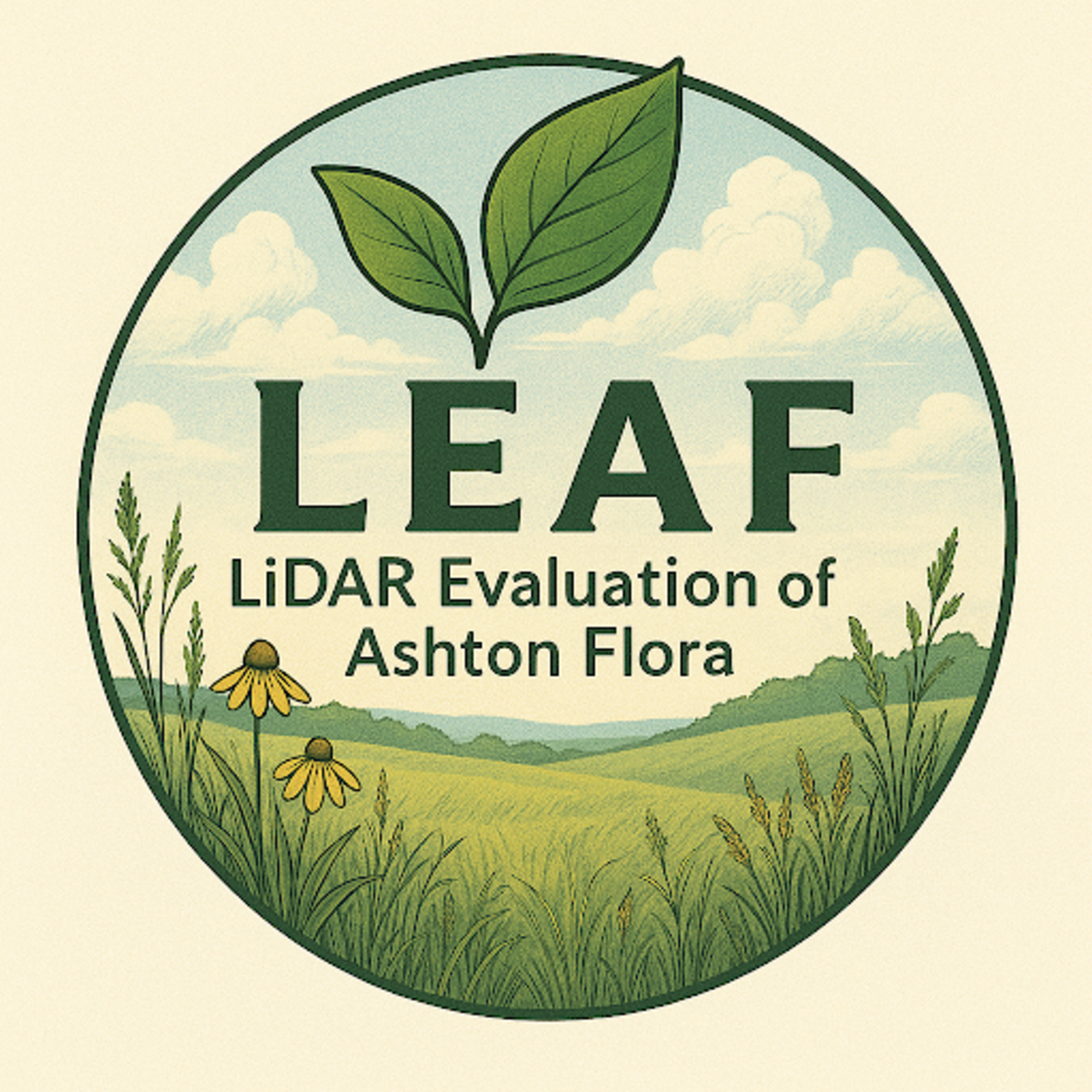 LEAF